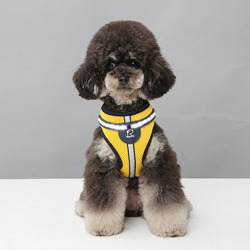 리얼펫 화이트 LED 하네스 강아지 외출 가슴줄, YELLOW, 1개