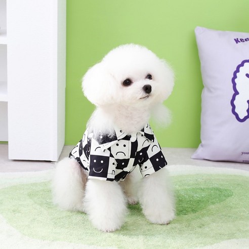 伴侶  寵物產品  小狗  貓  組合使用  服裝  T卹  狗  狗  狗