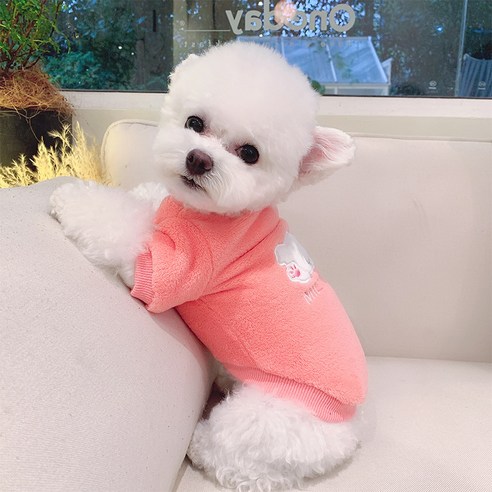 파스텔펫 반려동물 컬러 극세사 젤리 티셔츠, 핑크