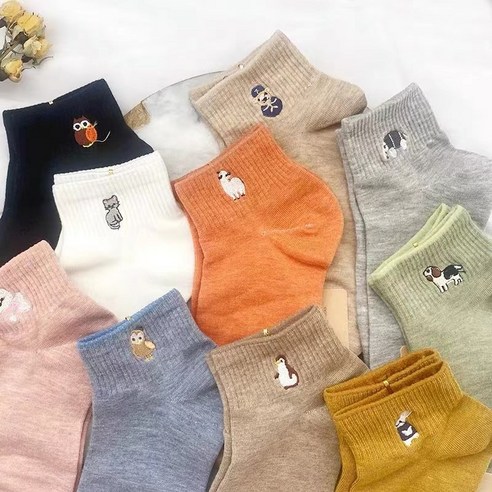 발랄한 하루를 선물하는 마법, 워더미 큐티 양말 10종 세트