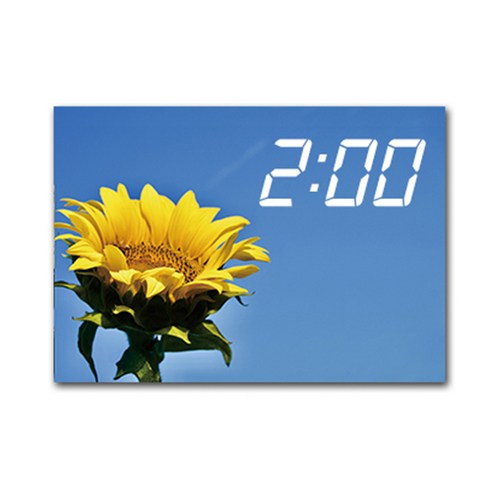홈마인 LED 시계 캔버스 프린팅 액자 해바라기 A3, 13