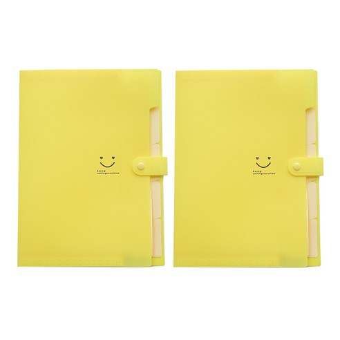알로데 스마일 캔디 파일 케이스 32.4 x 23.6 x 1.9 cm, TYPE05 레몬 옐로우, 2개