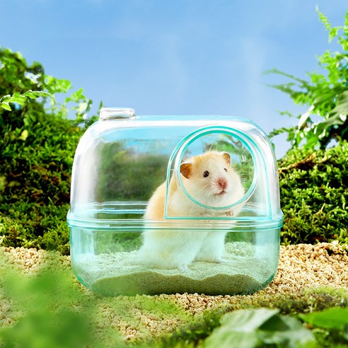 랜보어 햄스터 클리어 컬러 모래통 S, 블루, 1개