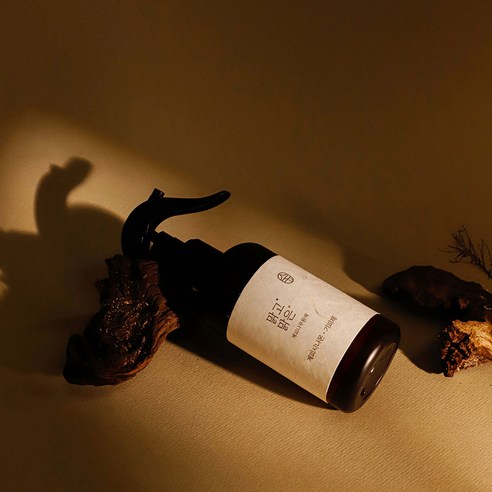 온다숲 계피원액 추출 벌레기피제, 250ml, 1개