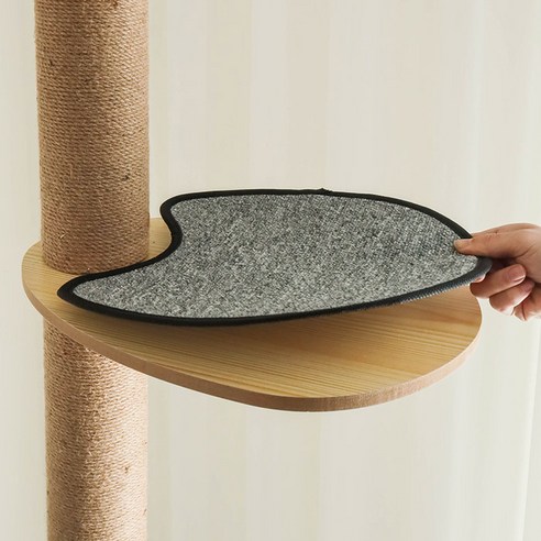 伴侶 寵物用品 貓 用品 刮板 扁平型 寵物 貓 貓 小貓