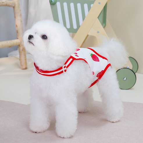 파스텔펫 강아지 베리 멜빵 위생 바지, 레드, 1개
