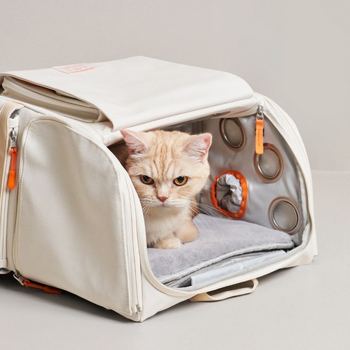 반려동물의 안전과 편안함을 동시에 제공하는 이동장용 포근패드