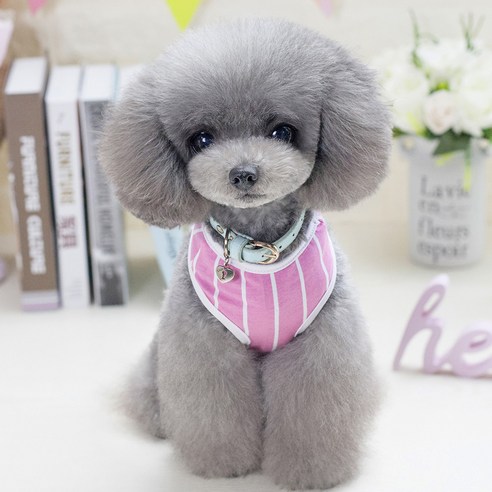 강아지 고양이 몬시채플린 티셔츠, 핑크