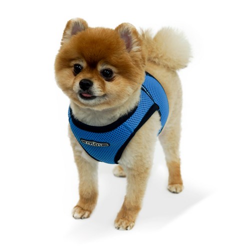 RealPet 프리세이프 강아지 조끼 하네스, 블랙, 1개