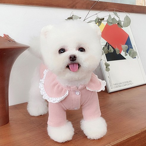 쁘띠 프릴 강아지 티셔츠 DT053, 핑크