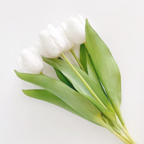리얼튤립 조화 6p, 화이트, 6개