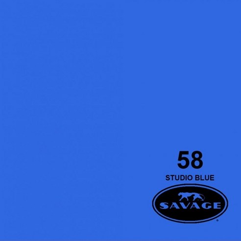 세비지 종이 롤 배경지 HALF, 58-1253(58 Studio Blue), 1개