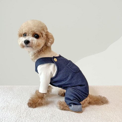 伴侶  寵物產品  小狗  貓  組合使用  服裝  T卹  狗  狗  狗