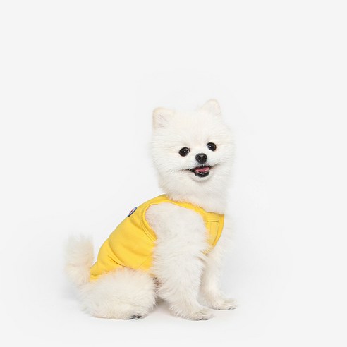 [도그나우ㅣ인기상품] 강아지 여름날의 시원함, 투스투스 쿨나시 여름옷! [DOGNOWㅣ추천상품]