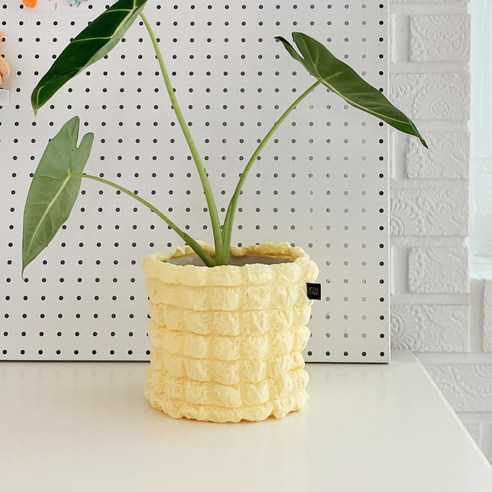 봄을 담은 작은 정원, 데코토닉 팝핑캔디 화분 커버로 싱그러움을 더하세요 화분커버