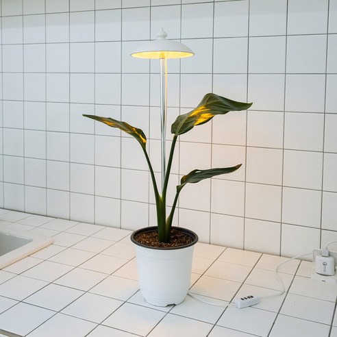 루아즈 LED 우산 식물 성장 생장 조명 LUAZ-SG1, 화이트