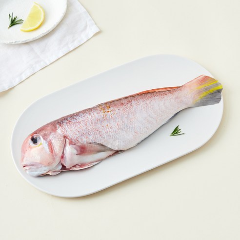 제주어가 생물 손질 옥돔 (냉장), 370g(특), 1개
