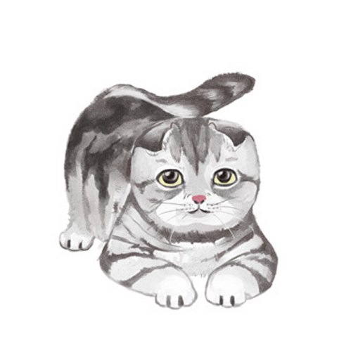JCP 복실복실 고양이 발매트, 고등어냥