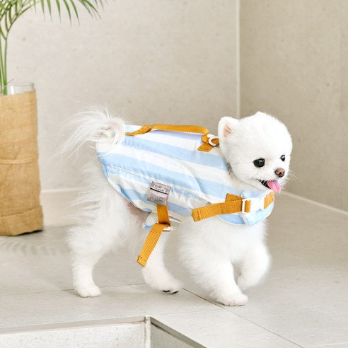 울리 강아지 우리 댕댕이 구명조끼, 블루, 1개