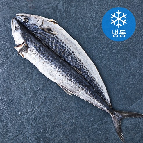 아라보감 국내산 반건조 삼치 (냉동), 330g, 5개