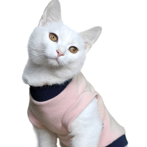 코코테일 고양이 티셔츠, 라이트핑크