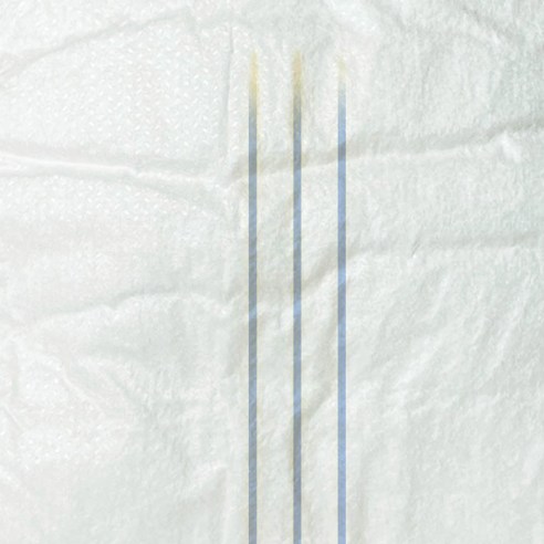 반려동물의 배변 문제를 해결하는 완벽한 솔루션