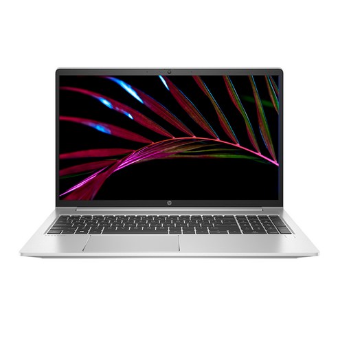 HP 2020 ProBook 450 15.6, 실버, 코어i5 11세대, 256GB, 8GB, WIN10 Pro, G8-2Z8Z9PA
