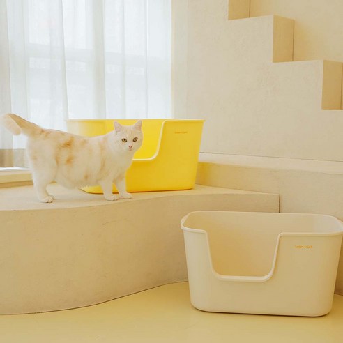 고양이의 편안함을 위한 최적의 선택