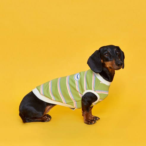 플로트 강아지 후르츠 민소매 티셔츠, 멜론
