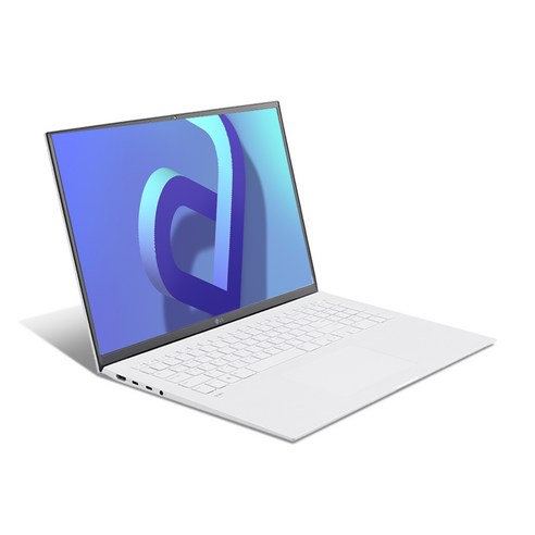LG전자 2021 그램 17, 스노우화이트, 17ZD95P-GX50K, 코어i5, 256GB, 8GB, WIN10 Home