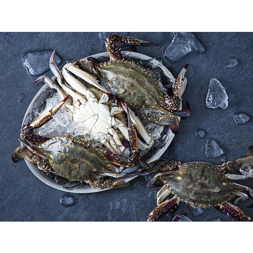 신선한 햇꽃게통째로 즐기는 꽃게