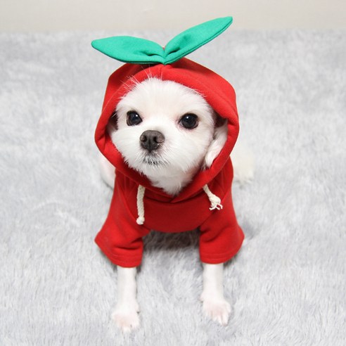 도기코디 반려동물 체리 후드티, 빨강