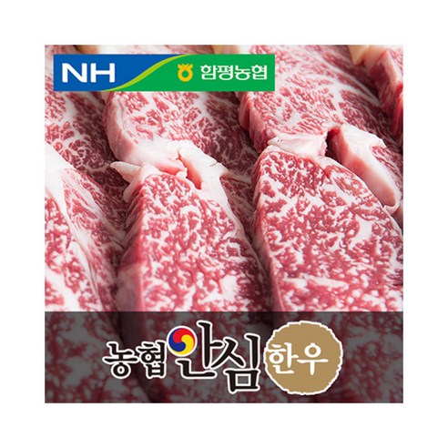 한우선물세트  농협안심한우 등심, 1개입, 500g 구이용(1등급)