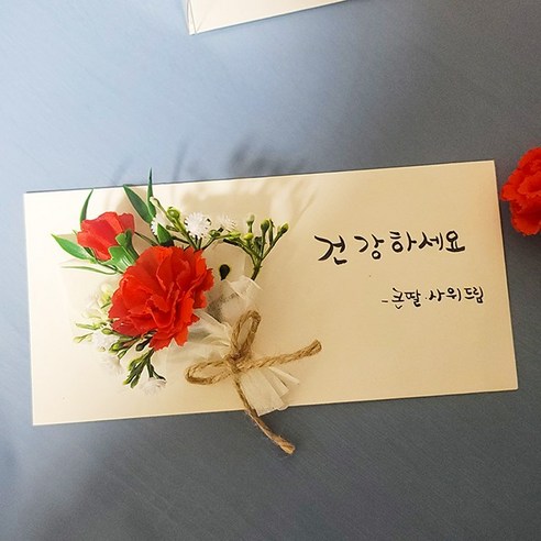 아름답고 실용적인 Her1088 미니 카네이션 용돈봉투 세트