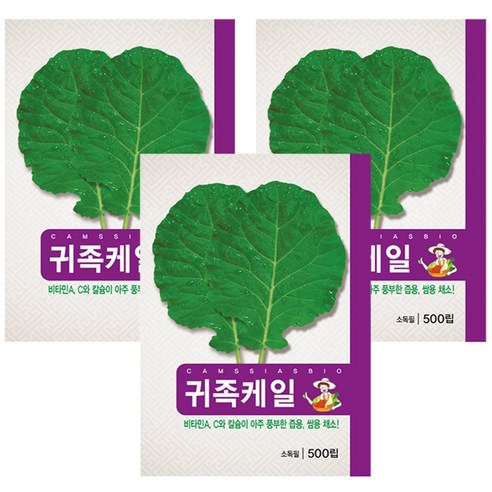 케일 씨앗 즙용 쌈채소용 씨 종자, 3개