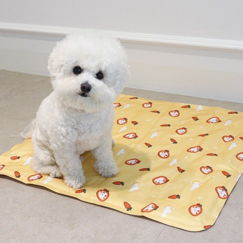 블랑펫 강아지 고양이 반려동물 쿨매트, 옐로우