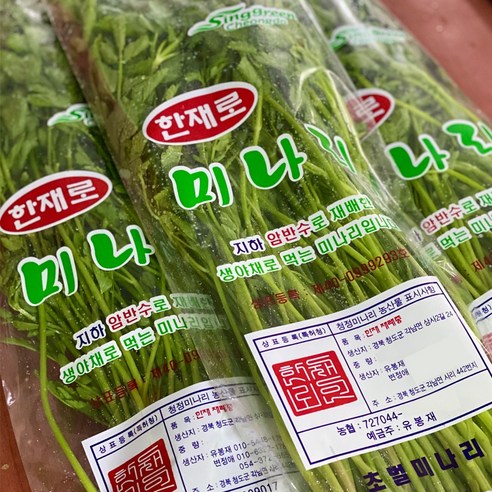 청도 한재로 미나리 1kg (당일수확/산지직송), 1개