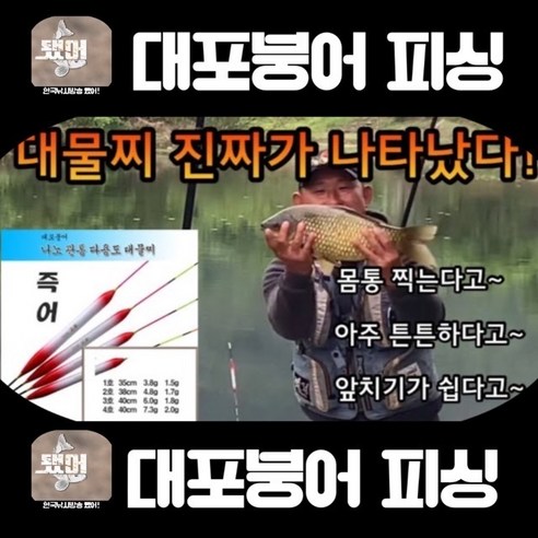 204년, 대포붕어 대잡이 성공! 나노관통 대물 1만 5천마리 돌파, 7.3g 부력 40센치 4호 1개 대포찌