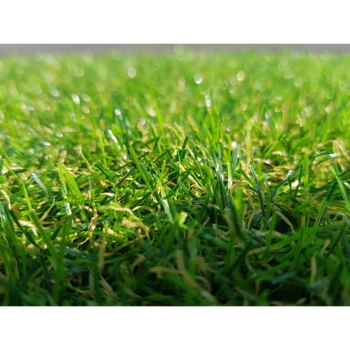 안전하고 품질 높은 인조잔디
