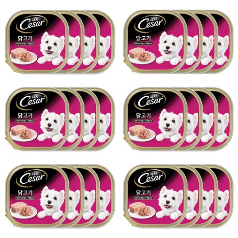 시저 애견간식 캔, 닭, 100g, 24개