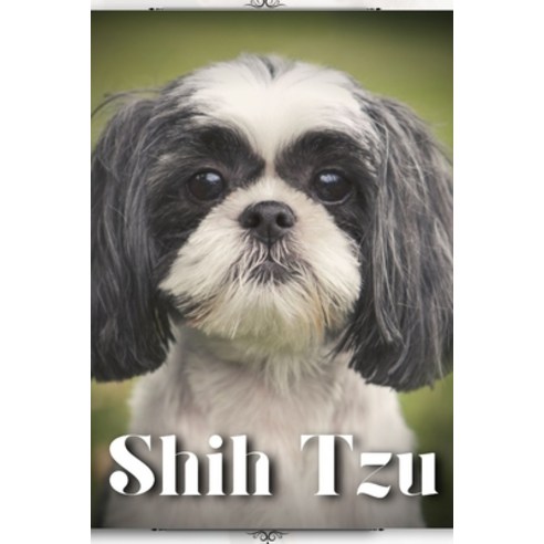(영문도서) Shih Tzu: Dog breed overview and guide Paperback, Independently Published, English, 9798397236010