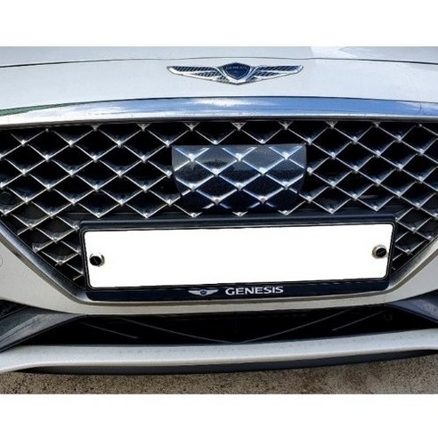 제네시스번호판가드 추천 제네시스 번호판가드 GV70 G80 G90 G70 GV80 롱번호판 비천공 가능 TOP10 (인기 브랜드 순위, 가격 비교)