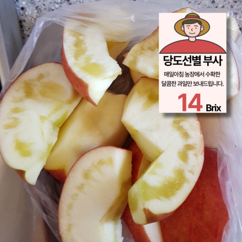 [꿀내음농원] 정품 부사 사과 특가판매, 1개, 5kg (15과 내외)
