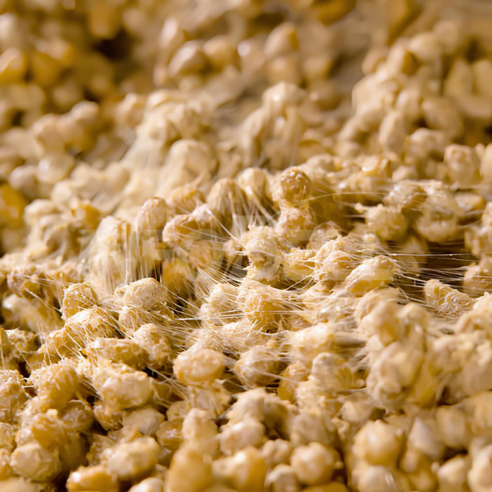 냄새 걱정 없이 즐기는 건강한 국산 콩 청국장