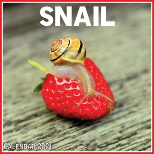 Snail Calendar 2021: Official Snail Calendar 2021 12 Months Paperback, Independently Published, English, 9798717867665