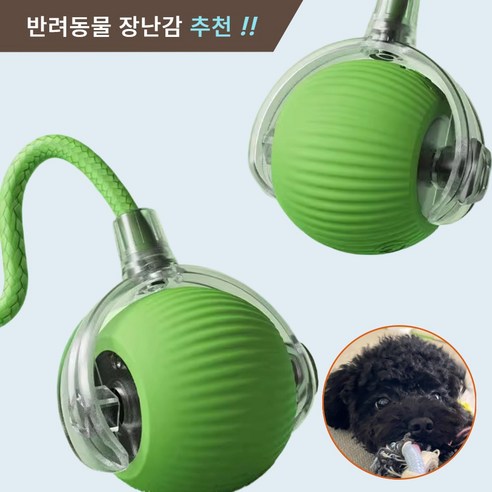 제이셀르 자동으로 움직이는 반려동물 장난감 강아지 자동 공놀이 장난감, 그린, 1개