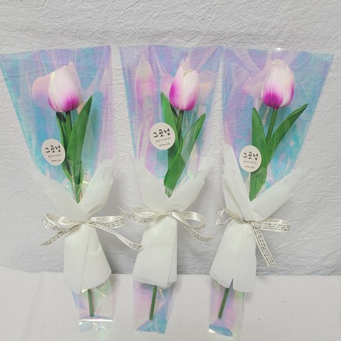 한송이꽃다발 3종세트, 레드카네이션