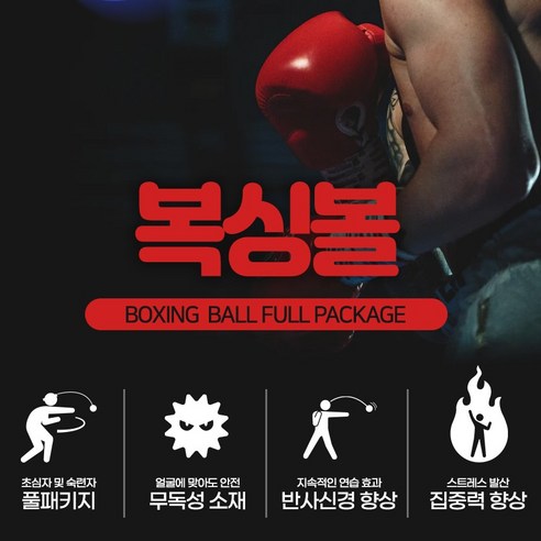 노스바이크 복싱볼 초보자용 + 숙련자용 세트: 궁극의 피트니스 도구