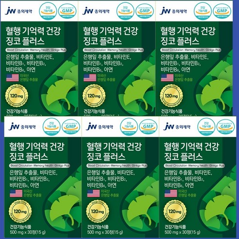 JW중외제약 징코플러스 혈액순환개선제 손발저림 혈액순환제 여성 혈관순환제 은행잎추출물 다리 떨림 징코 혈행 뇌에 혈관에 좋은 영양제 식약청 식약처 인증 인정, 15g, 6개, 500mg, 30정