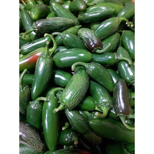 엄지고추 할라피뇨 못난이 퍼팩트 피클용 아삭이고추 5kg, 1개
